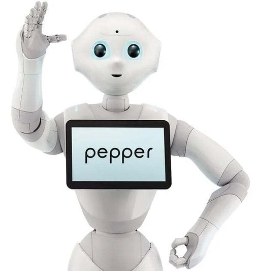 Bespoke Software For Pepper