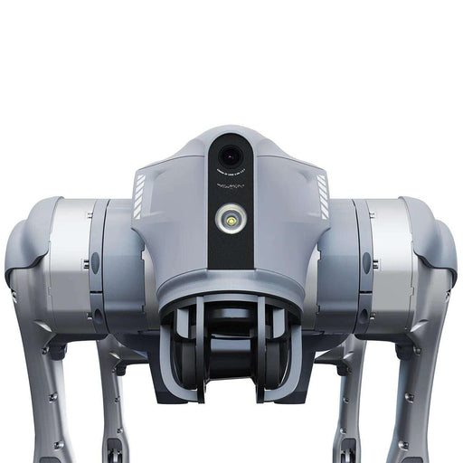 Rex Robot Dog Mini 2 For Hire
