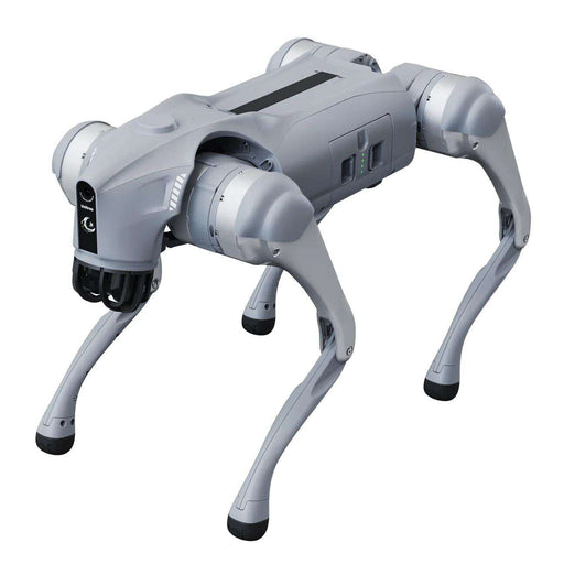Rex Robot Dog Mini 2 For Hire