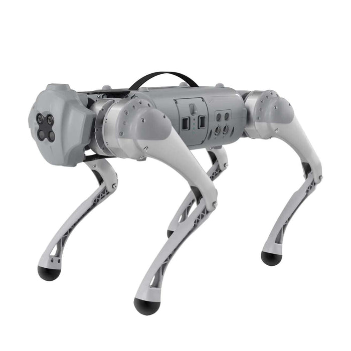 Rex Robot Dog Mini 1 For Hire