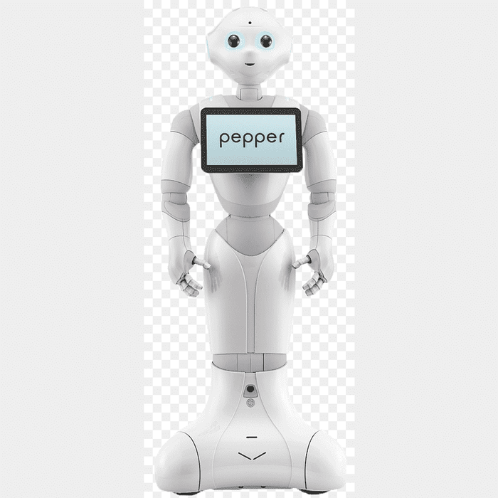 Pepper For Hire